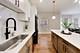 1033 S Claremont, Chicago, IL 60612