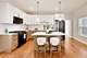 1033 S Claremont, Chicago, IL 60612