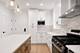 848 W George Unit 3, Chicago, IL 60657