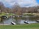 58 Vail Colony Unit 7, Fox Lake, IL 60020