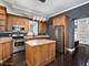 2120 W Race, Chicago, IL 60612