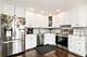 49 Park Unit 49, Park Ridge, IL 60068
