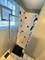 1624 N Bell Unit C, Chicago, IL 60647