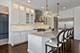 22918 Perth, Frankfort, IL 60423