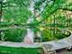 505 N Lake Shore Unit 501, Chicago, IL 60611