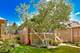 1212 N Ridgeland, Oak Park, IL 60302