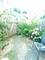 1184 E Candlenut, Palatine, IL 60074
