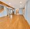 3309 S Lowe, Chicago, IL 60616
