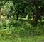 222 Nobes, Lockport, IL 60441