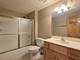 19604 Crested Butte, Mokena, IL 60448