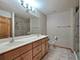 19604 Crested Butte, Mokena, IL 60448