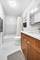 1143 S Plymouth Unit 606, Chicago, IL 60605
