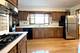 2022 E Woodview, Mount Prospect, IL 60056