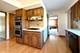 2022 E Woodview, Mount Prospect, IL 60056