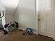 209 S 19th, Maywood, IL 60153