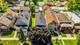 1320 S 57th, Cicero, IL 60804
