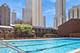 1030 N State Unit 33J, Chicago, IL 60610