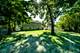16736 Beverly, Tinley Park, IL 60477