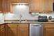 1307 S Wabash Unit 705, Chicago, IL 60605