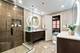 420 W Grand Unit 5D, Chicago, IL 60654