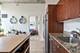 1720 S Michigan Unit 2309, Chicago, IL 60616