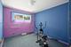 17 S Walnut, Palatine, IL 60067