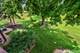 1623 Salisbury Unit C, Wheaton, IL 60187