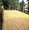 2828 Lombard, Berwyn, IL 60402