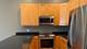 420 N Noble Unit 3, Chicago, IL 60642
