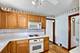 10440 S Hamlin, Chicago, IL 60655