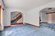 10440 S Hamlin, Chicago, IL 60655
