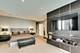 225 N Columbus Unit 5510, Chicago, IL 60601