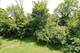 1277 Queen Ann, Gurnee, IL 60031