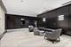 680 N Lake Shore Unit 313, Chicago, IL 60611