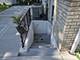 6842 N Central, Chicago, IL 60646