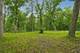 398 Forest Edge, Glencoe, IL 60022