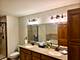 20373 Mackinac Point, Frankfort, IL 60423