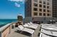 950 N Michigan Unit 4005, Chicago, IL 60611