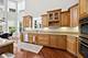 1015 White Pine, Western Springs, IL 60558