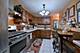 5108 W Winona, Chicago, IL 60630