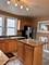 5642 N Bernard Unit 2, Chicago, IL 60659