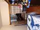 5514 S Winchester, Chicago, IL 60636