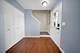 1078 Serendipity, Aurora, IL 60504