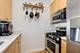 600 N Kingsbury Unit 1101, Chicago, IL 60610