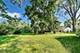 249 Sunrise, Willowbrook, IL 60527