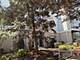 1291 W Lake Unit 302, Addison, IL 60101