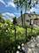 7221 S Sangamon, Chicago, IL 60621