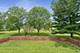 1539 Foxhill, Naperville, IL 60563
