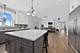 22384 Mallow, Frankfort, IL 60423