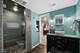 519 N Taylor, Oak Park, IL 60302